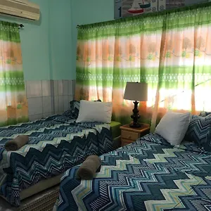 https://caribbean-tourist-villa-guest-house.comcaribbean.com