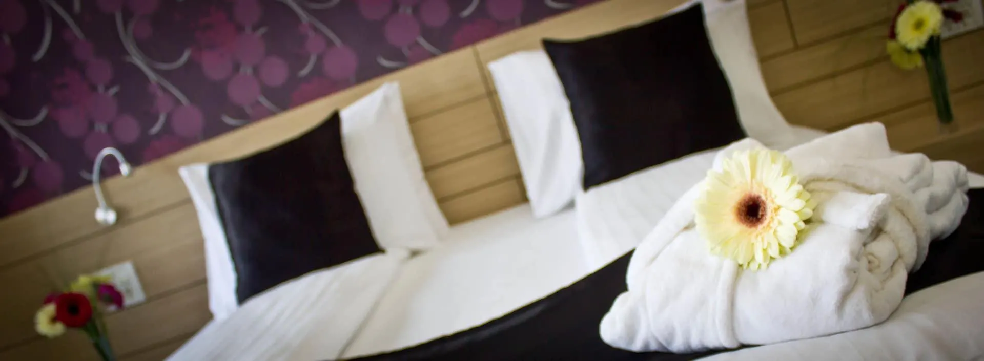 Z Executive Boutique Hotel Bükreş